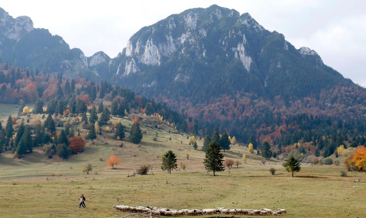 Taverna Pietrei Craiului Zărneşti Kültér fotó