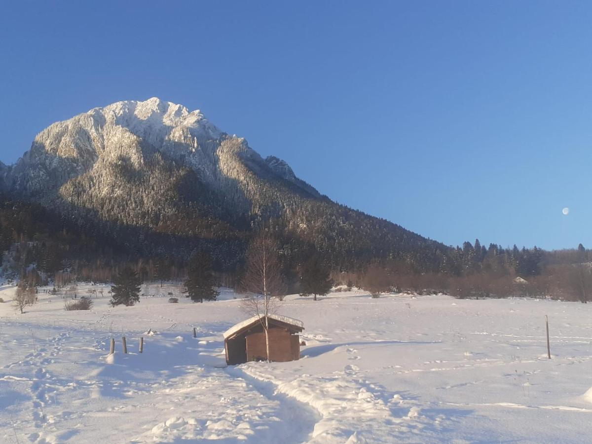Taverna Pietrei Craiului Zărneşti Kültér fotó